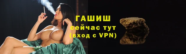 спиды Лиски