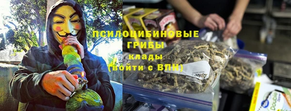 ГАЛЛЮЦИНОГЕННЫЕ ГРИБЫ Абинск
