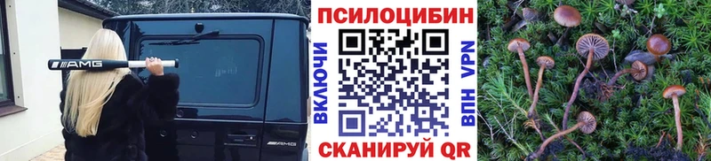 Галлюциногенные грибы MAGIC MUSHROOMS  Нижневартовск 